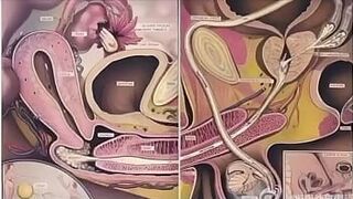 Что сохраняет человечество живым? - порно видео