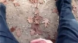 Дрочка сиськами в парке в любительском видео - порно видео